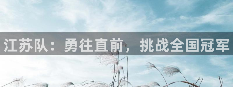 江苏队：勇往直前，挑战全国冠军