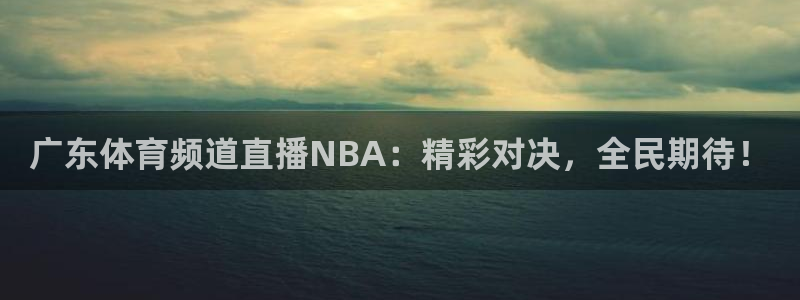 广东体育频道直播NBA：精彩对决，全民期待！
