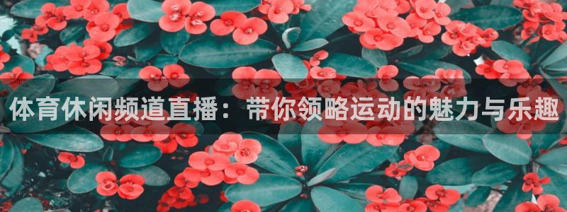 体育休闲频道直播：带你领略运动的魅力与乐趣