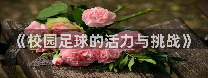 《校园足球的活力与挑战》